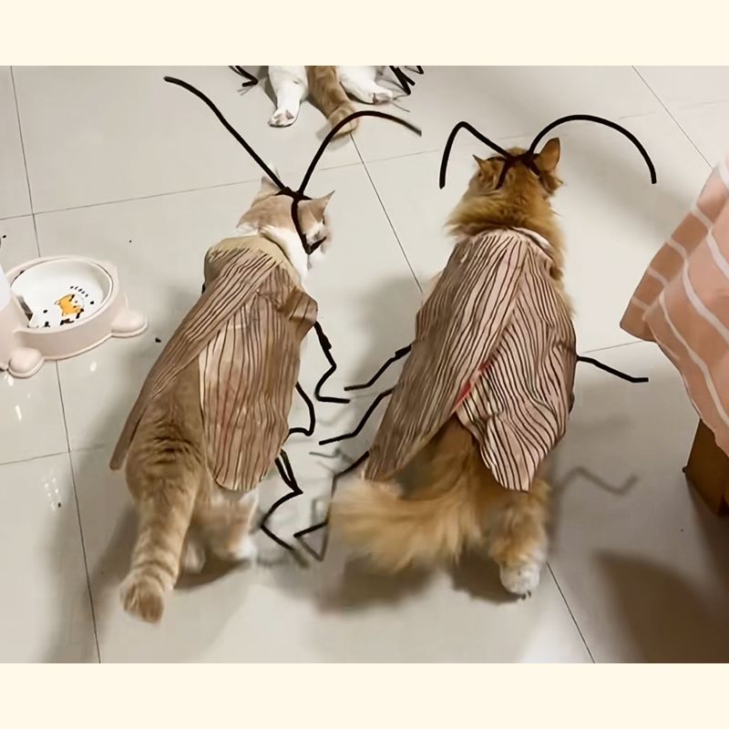 DIY 고양이 바퀴벌레 코스튬 코스프레 킹받는 선물 쓸모없는 쓸데없는 웃긴 우정 이벤트 - 상세 이미지 5
