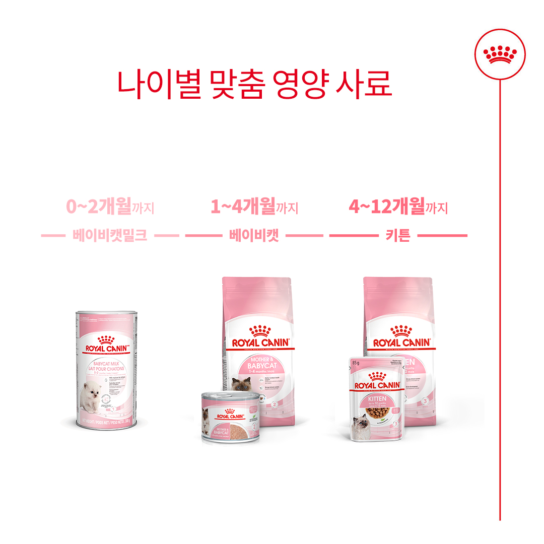 캣 키튼 사료 로얄캐닌 키튼 사료 추천 로얄캐닌 4kg 고양이 사료 후기