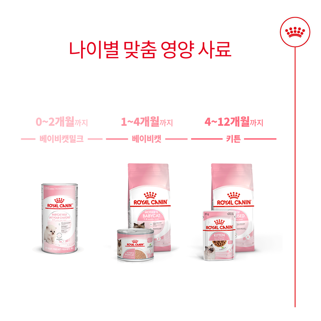 로얄캐닌 마더 앤 베이비 캣 울트라 소프트 무스 트레이 1박스(100G X 24개입) 이미지 7