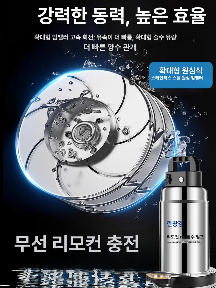 수중펌프 농업 관개 무선 12v 원격 dc 제어 모터펌프 워터 비료 물 급수 하수 - 상세 이미지 2