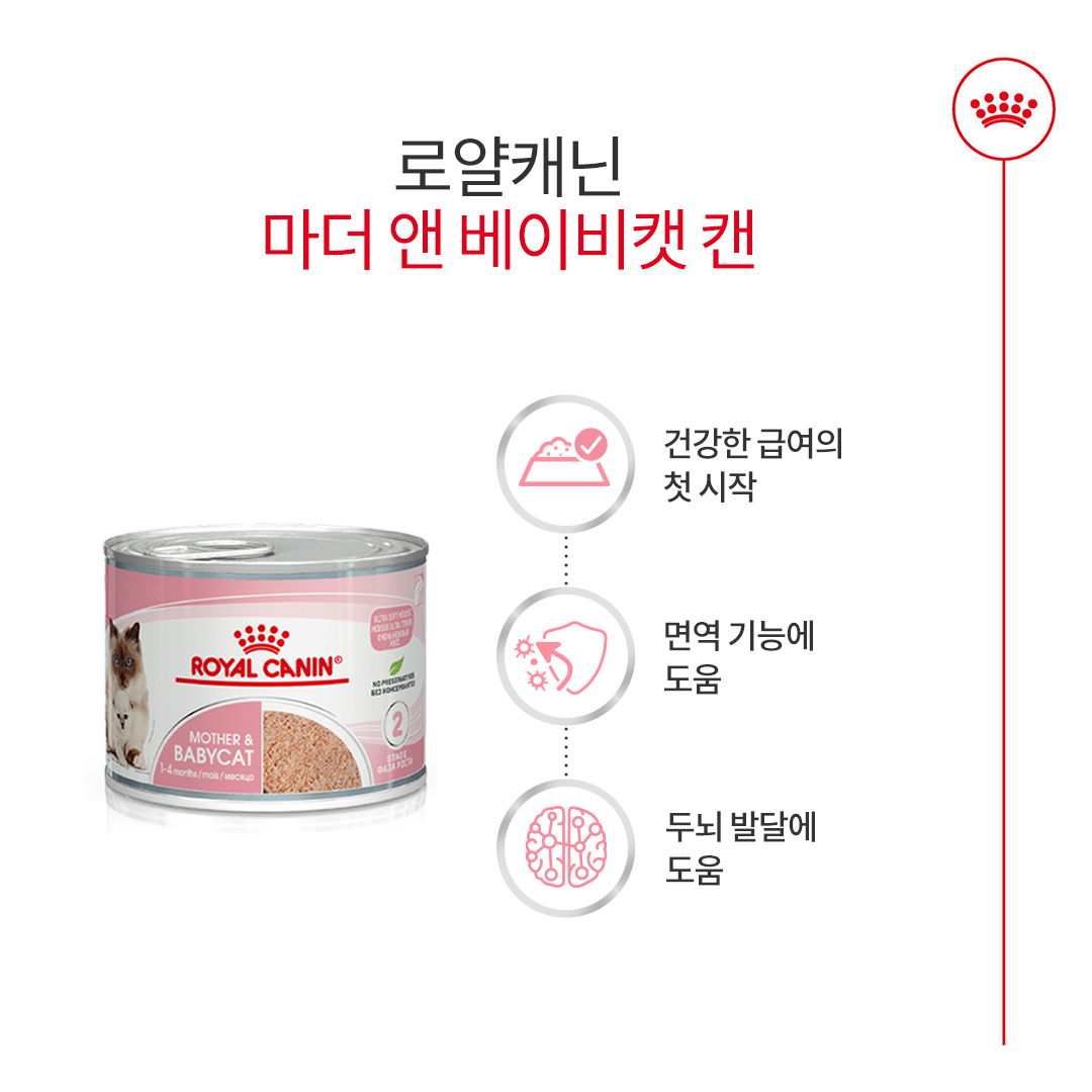 로얄캐닌 마더 앤 베이비 캣 울트라 소프트 무스 트레이 1박스(100G X 24개입) - 상세 이미지 2