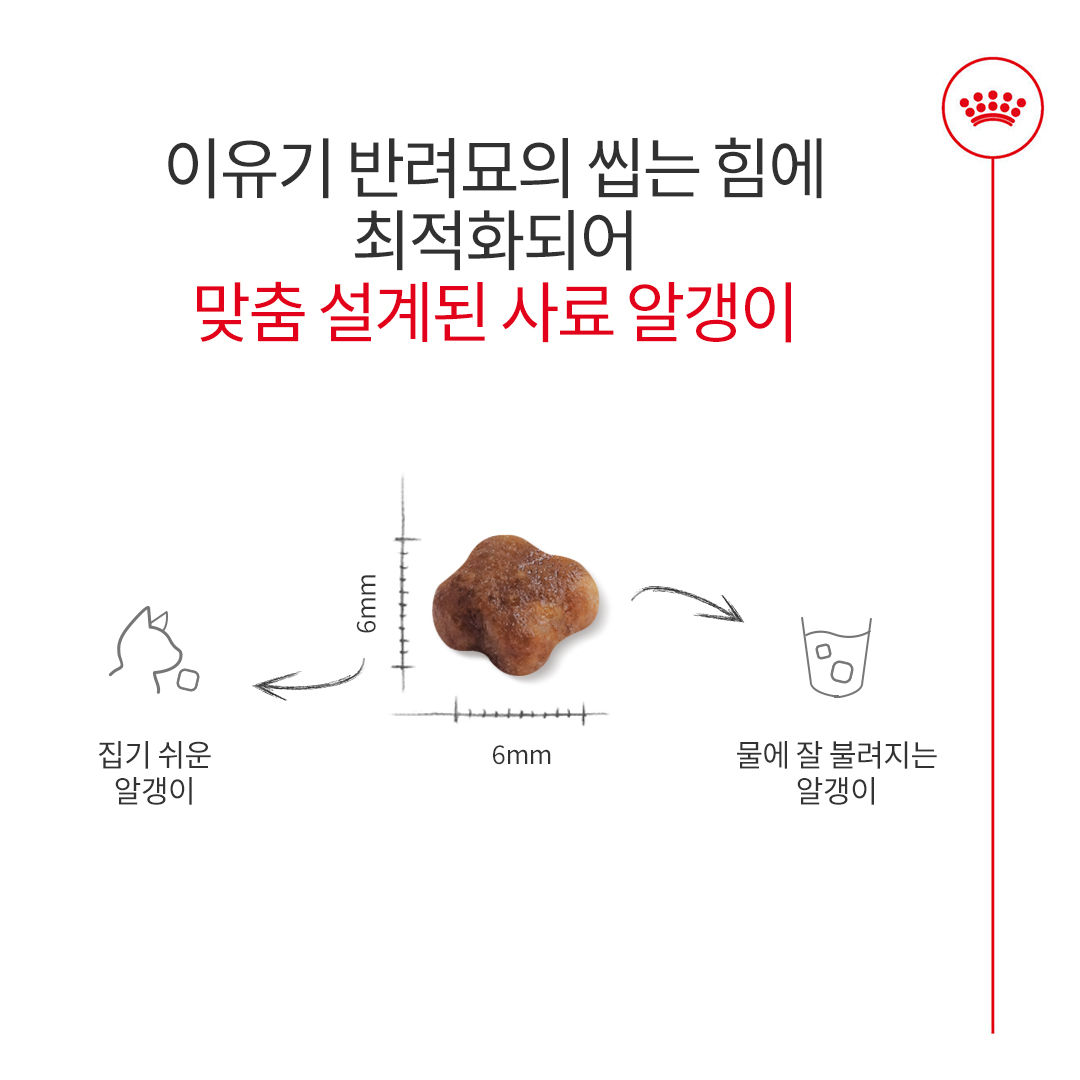 로얄캐닌 캣 마더앤베이비, 1.2kg, 1개 - 상세 이미지 3