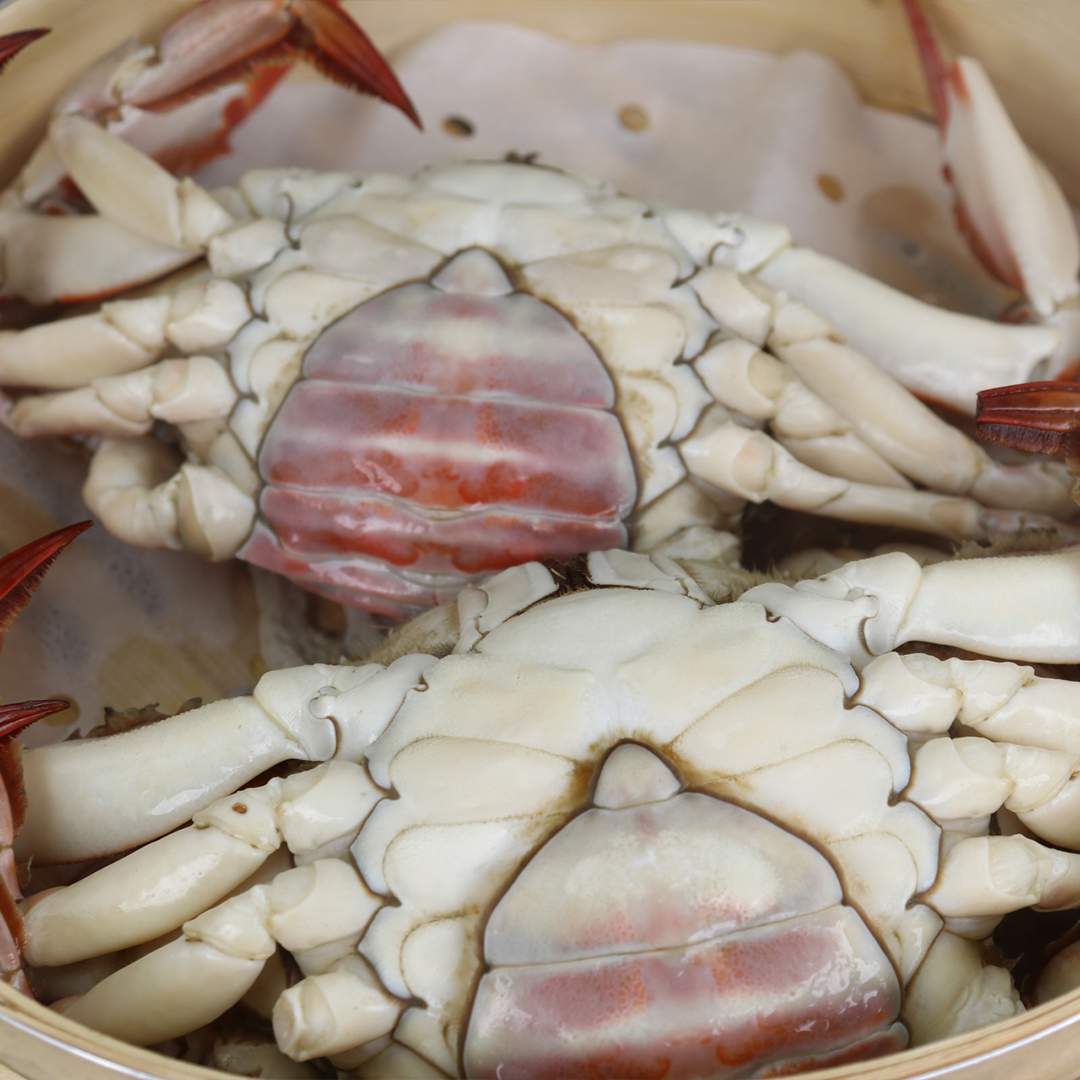 국내산 봄 알배기 암꽃게 1kg 생물급냉 알꽉찬 서해 몽당꽃게