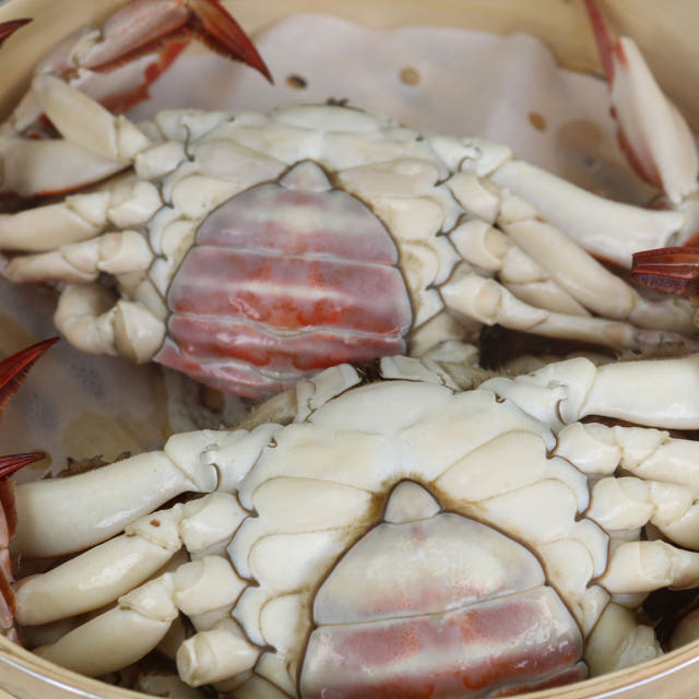 국내산 봄 알배기 암꽃게 1kg 생물급냉 알꽉찬 서해 몽당꽃게 — 다른 꽃게와 비교하면 어떤가요?