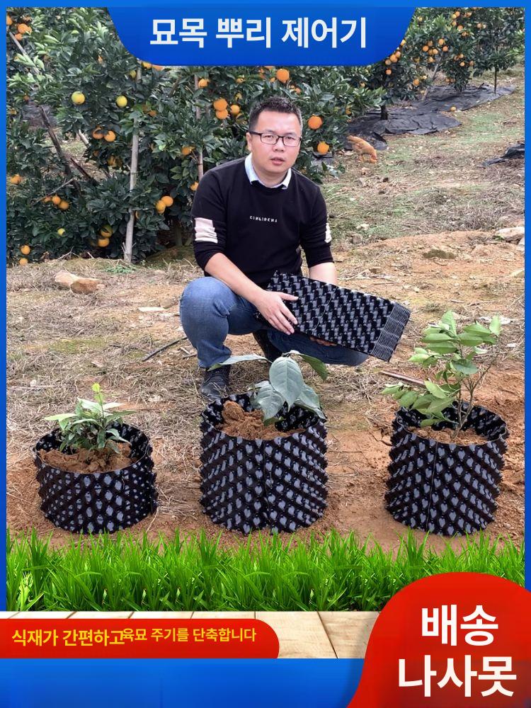 매직화분 50m 대형 플라스틱 베리 뿌리 분재 요술 도깨비 펜스망 롤 과수원 식물 - 상세 이미지 2