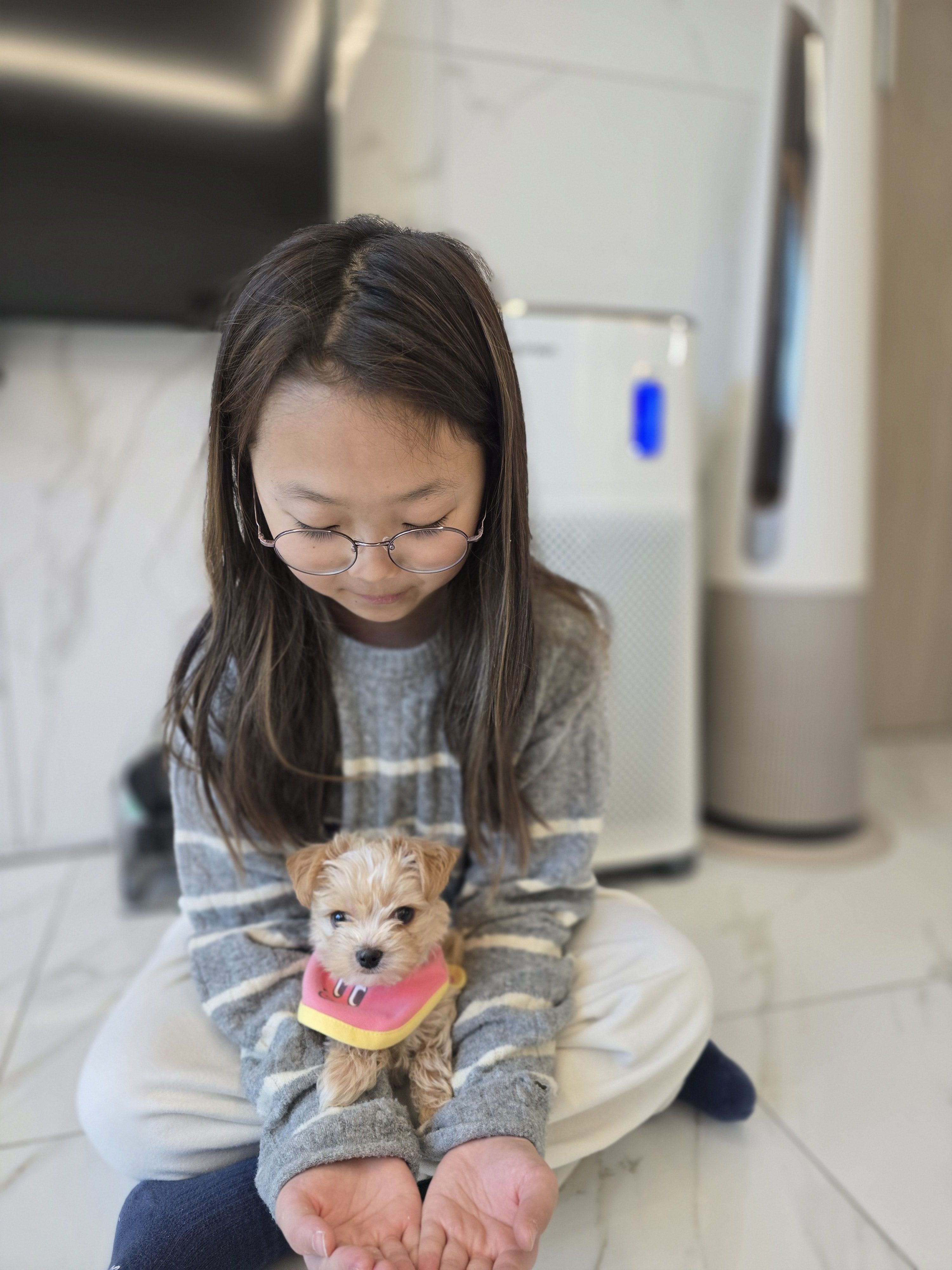 국산 가정용 산소발생기 에어리온 공기청정과 살균까지 고압산소치료기 아님 강아지 - 상세 이미지 3