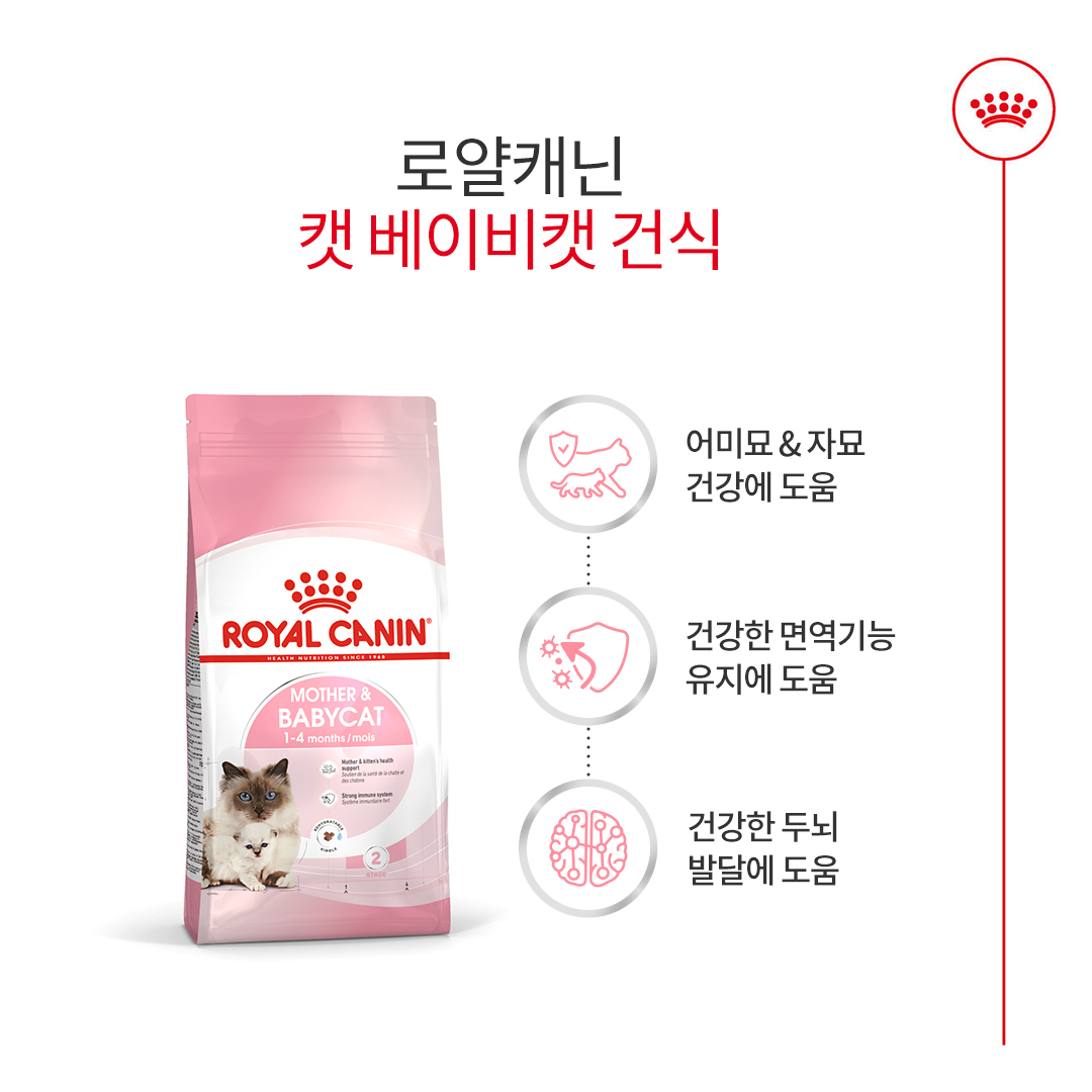 로얄캐닌 캣 마더앤베이비, 1.2kg, 1개 - 상세 이미지 2