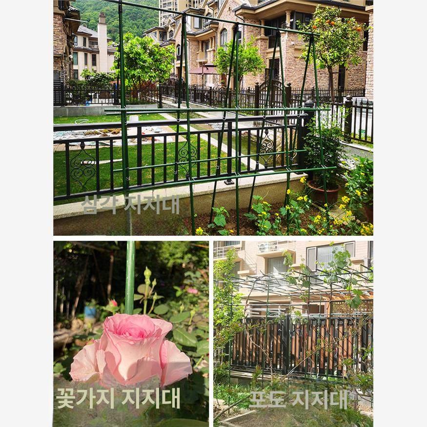 다기능 지지대 야채 채소 완두콩 오이 그물 넝쿨 두께 방울 토마토 모종 수박 식물 대형 - 상세 이미지 4