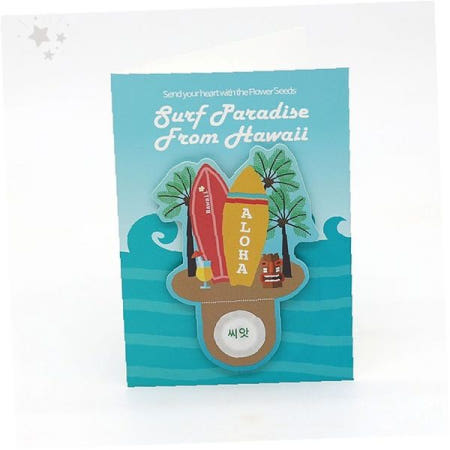 바다 풍경 디자인 실내 공간 꾸미기 씨앗 심기 체험 카드 형태 식물 재배 선물용