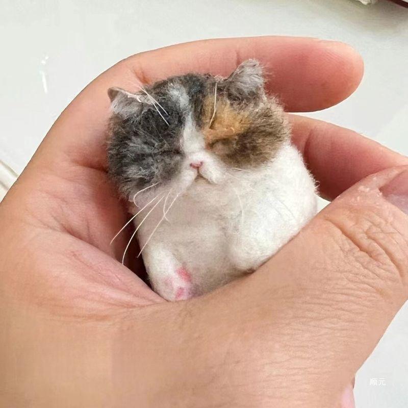 양모 고양이 수공예 재료 커플용 창의적 동물 고양이 용품 세트 (도구 및 열쇠고리 포함) - 상세 이미지 4