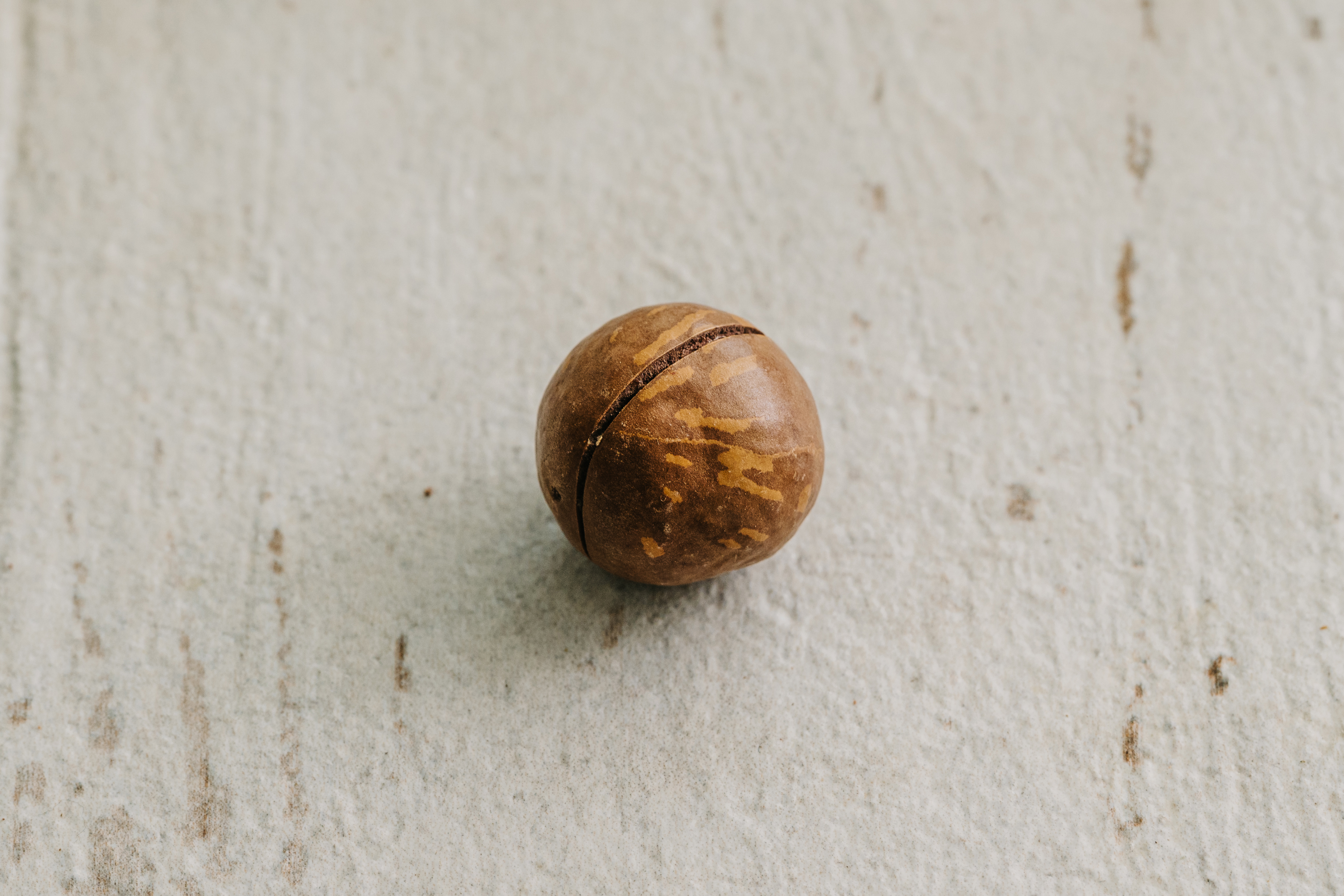 통마카다미아 마카다미아효능 베트남마카다미아 1kg 까먹는macadamia 이미지 7