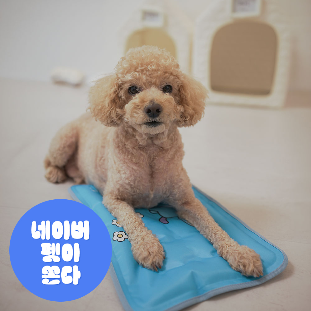 [고양이의 날]로띠에 강아지 쿨매트 고양이 애견 아이스 쿨젤 양면 여름 방석 패드 냉감 - 상품 이미지