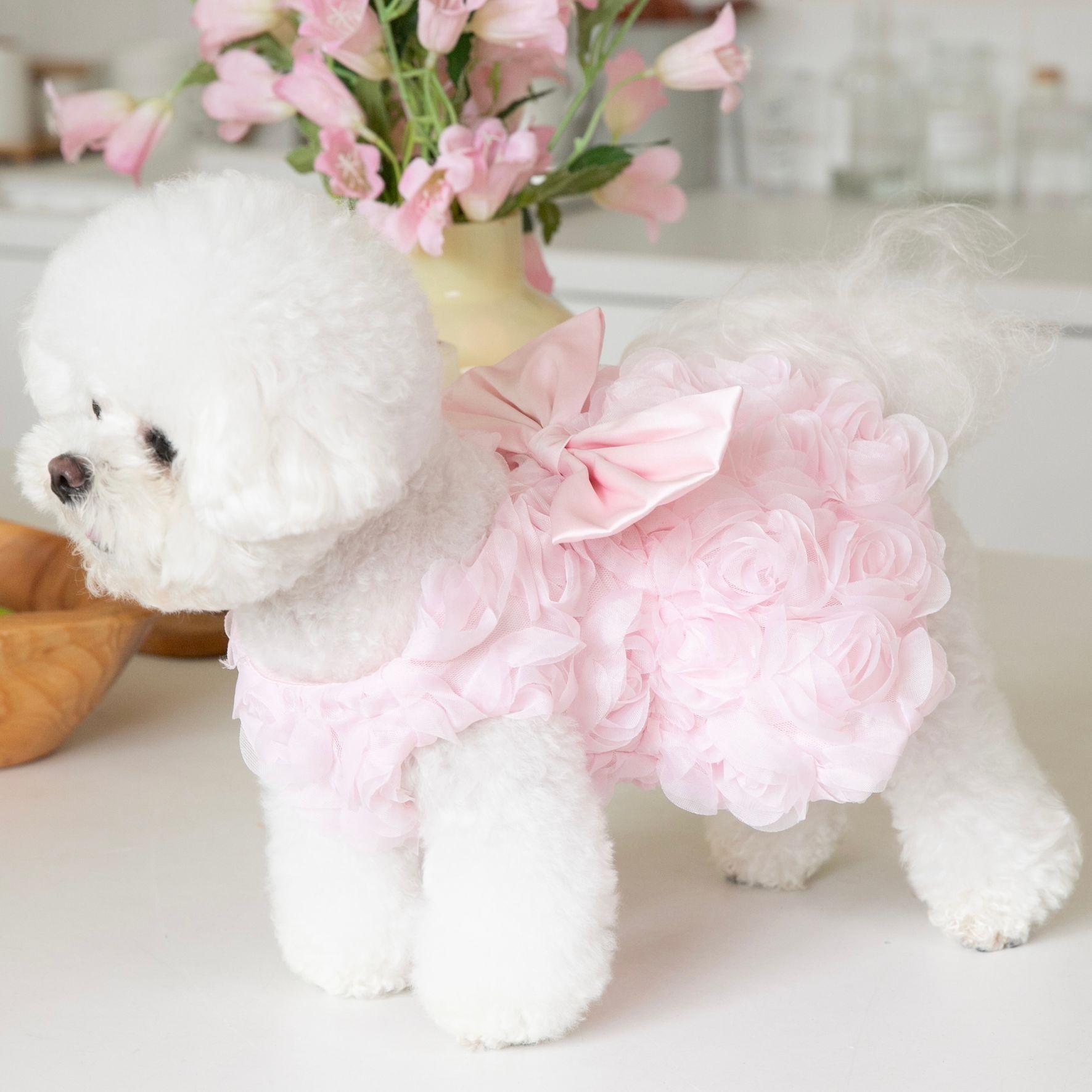 강아지 드레스 화동 반려견 생일 웨딩촬영 댕댕이 웨딩 원피스 웨딩드레스 웨딩복 - 상세 이미지 4