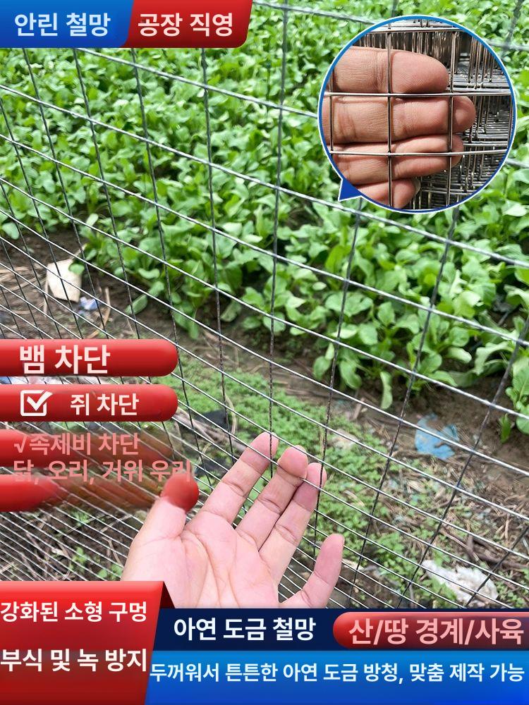 사각 철망 울타리 망 휀스 닭장 양계 사유지 경계 담장 고라니 방지 펜스 야외 - 상세 이미지 5