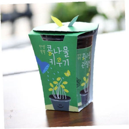 실내 공간 식물 재배 체험 관찰 일지 포함 새싹 기르기 컵 형태 재배 용기