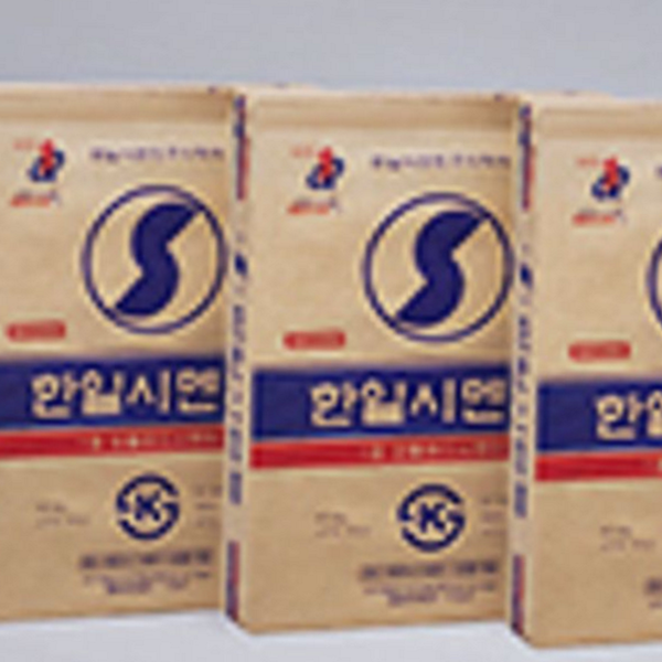시멘트 레미탈 10kg 다용도 건축용 콘크리트 보수제 10kg - 상품 이미지