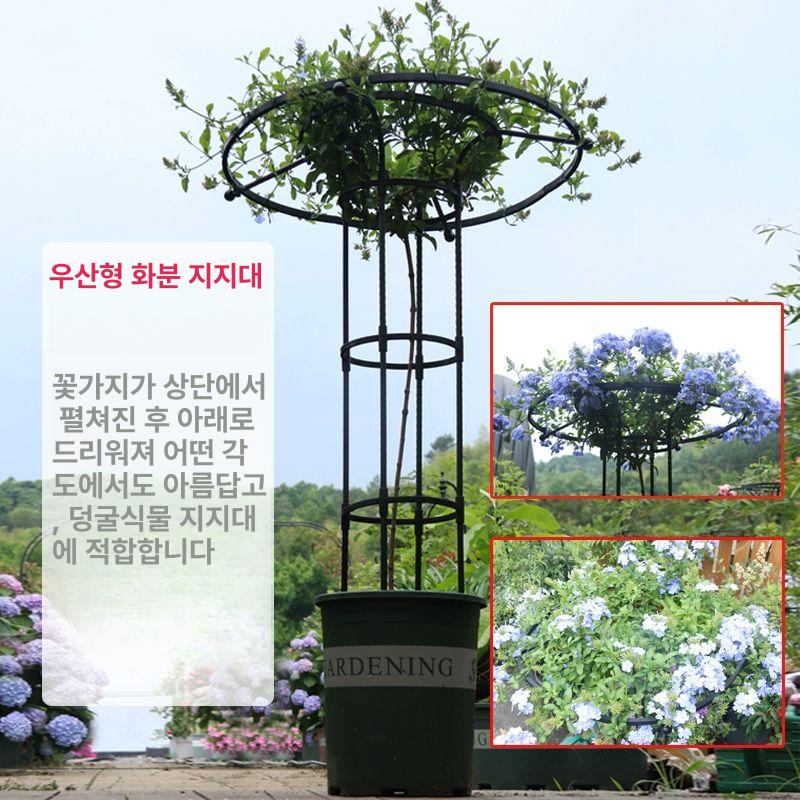 우산모양 넝쿨지지대 장미 지지대 식물 공원 지주대 텃밭 원형 아치 화초 - 상세 이미지 2