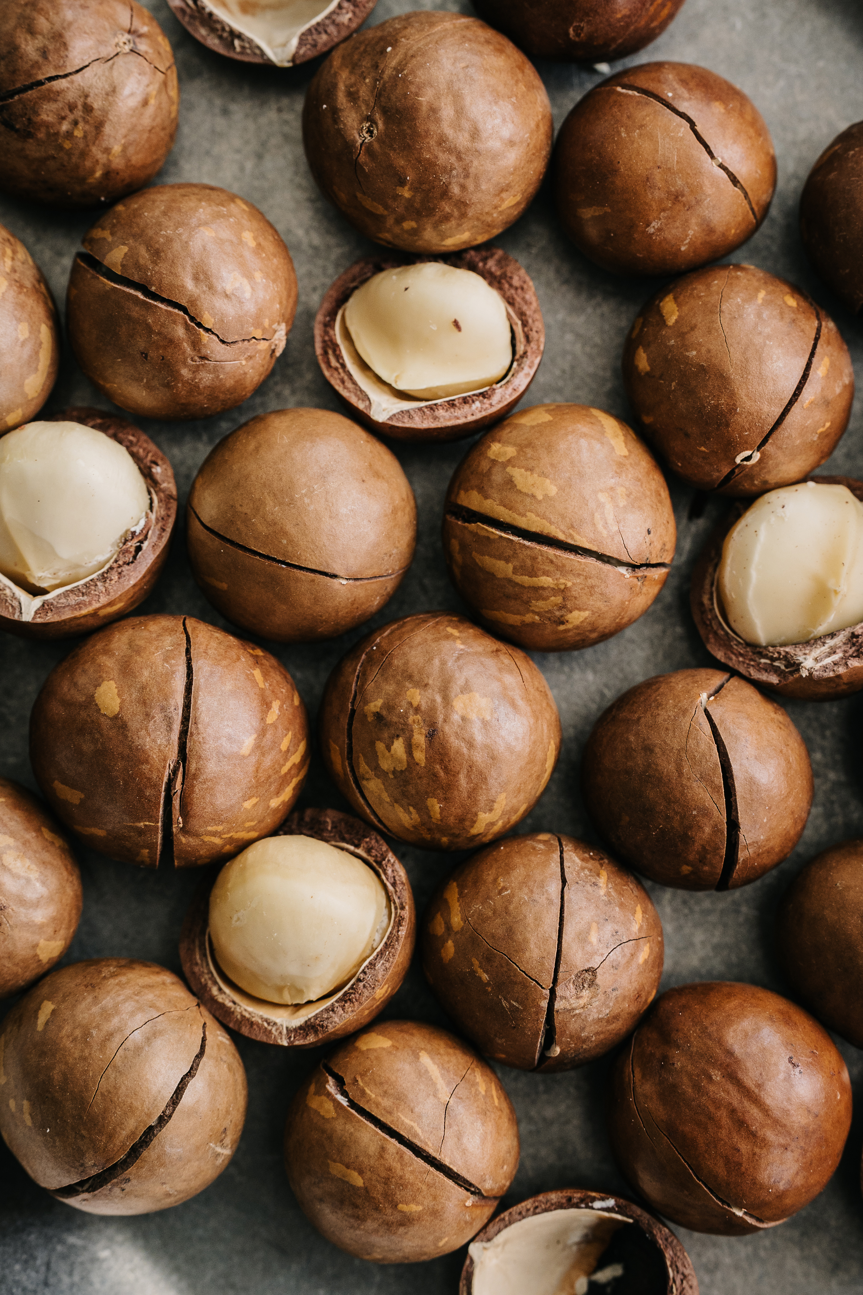 통마카다미아 마카다미아효능 베트남마카다미아 1kg 까먹는macadamia 이미지 6