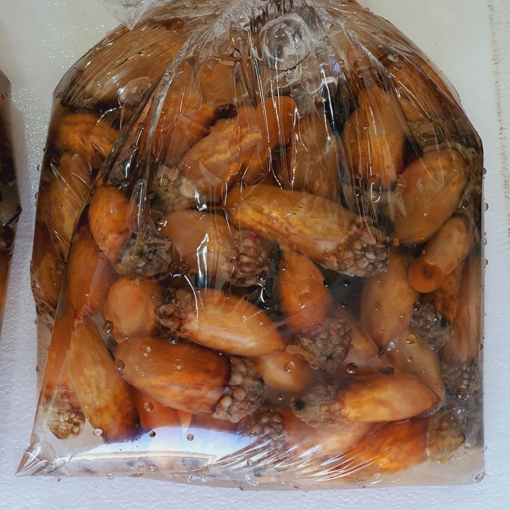 제철 진동 활 미더덕 손질 깐 참 미더덕회 산지직송 - 상세 이미지 3