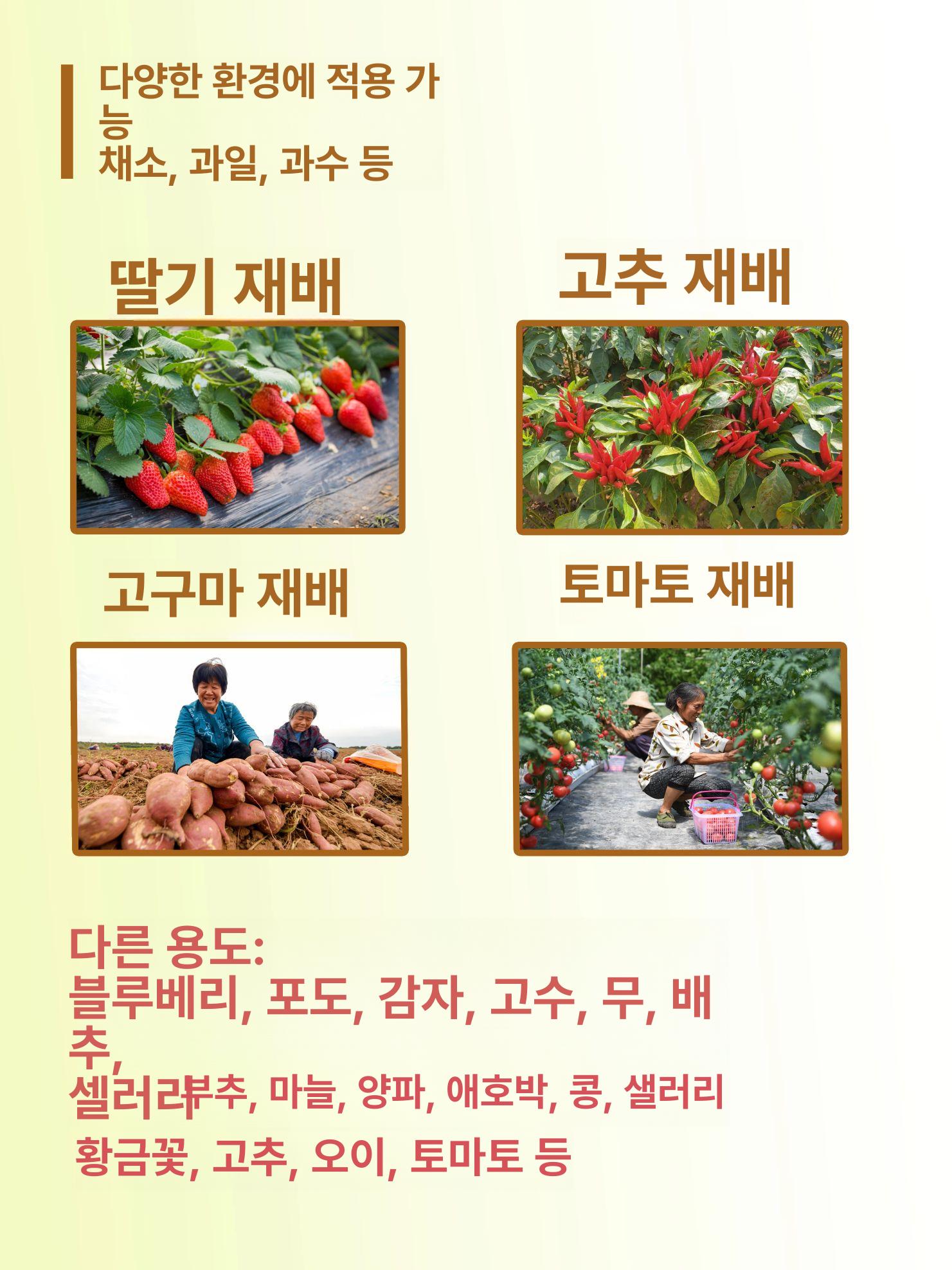 필름형 스프링쿨러 클러 점적 호스 관수 테이프 농수관 파이프 텃밭 온실 간격 롤 단일홀 - 상세 이미지 4