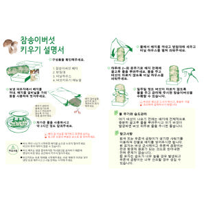 참송이 버섯키우기 키트 반려식물 재배 버섯재배세트 맛있게 먹은 솔직 후기 - 상품 이미지 3
