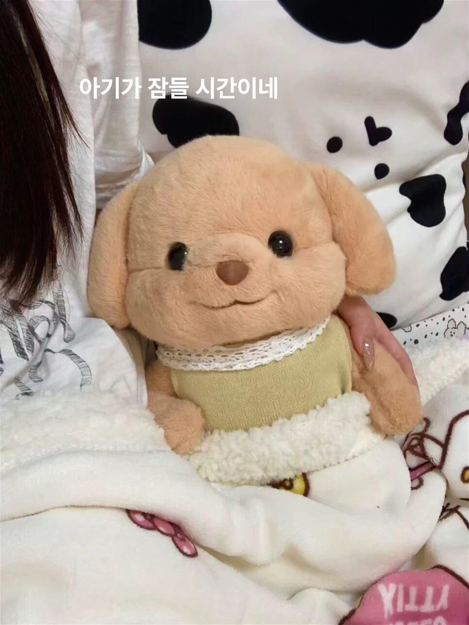 볼살통통 강아지 인형 대형 플러시 푸들 멍멍이 실바니안 세벨 푸들 [옷 포함] 25cm - 상세 이미지 2