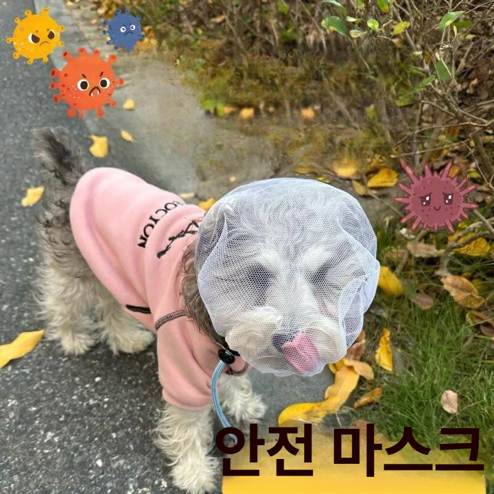 강아지 산책 페이스커버 해충방지 마스크 진드기 모기 - 상세 이미지 3