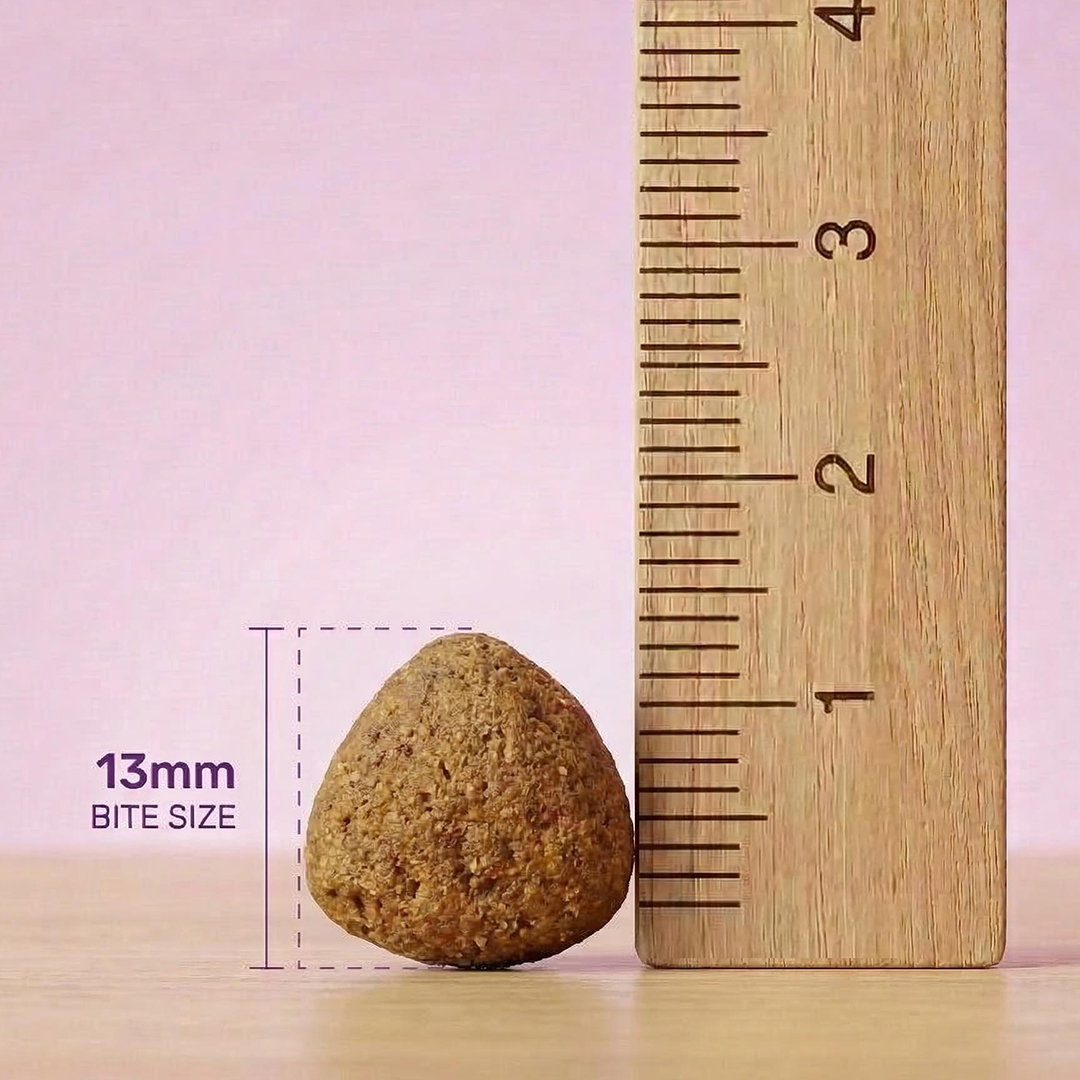 나투라다이어트 12kg 소포장 강아지 다이어트사료 저지방 저칼로리 라이트 - 상세 이미지 5
