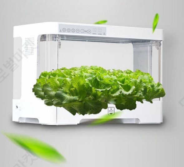 AI 수경재배기 식자재 키우기 실내가드닝 거실 스마트 - 상세 이미지 2