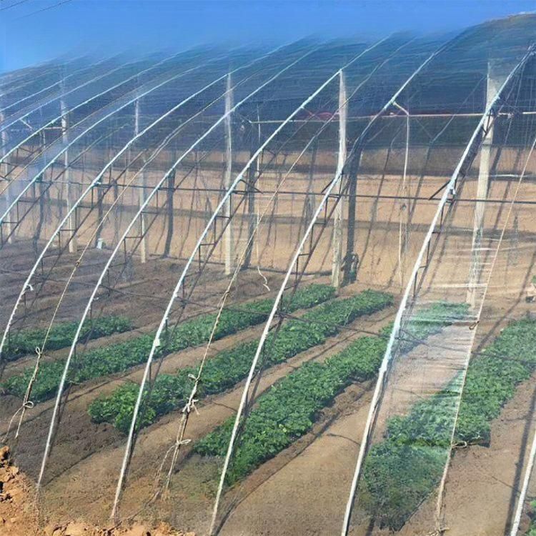 차광 필름 농막 지붕재 폭 차광필름 열차단 파라솔다크 햇빛차단 비닐하우스필름 - 상세 이미지 2