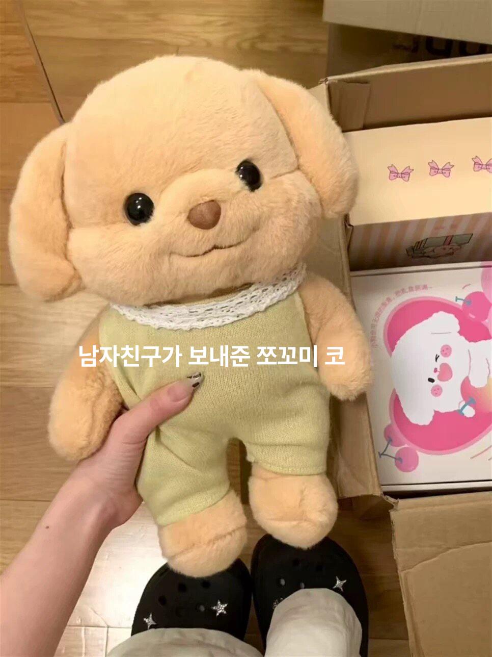 볼살통통 강아지 인형 대형 플러시 푸들 멍멍이 실바니안 세벨 푸들 [옷 포함] 25cm - 상세 이미지 4