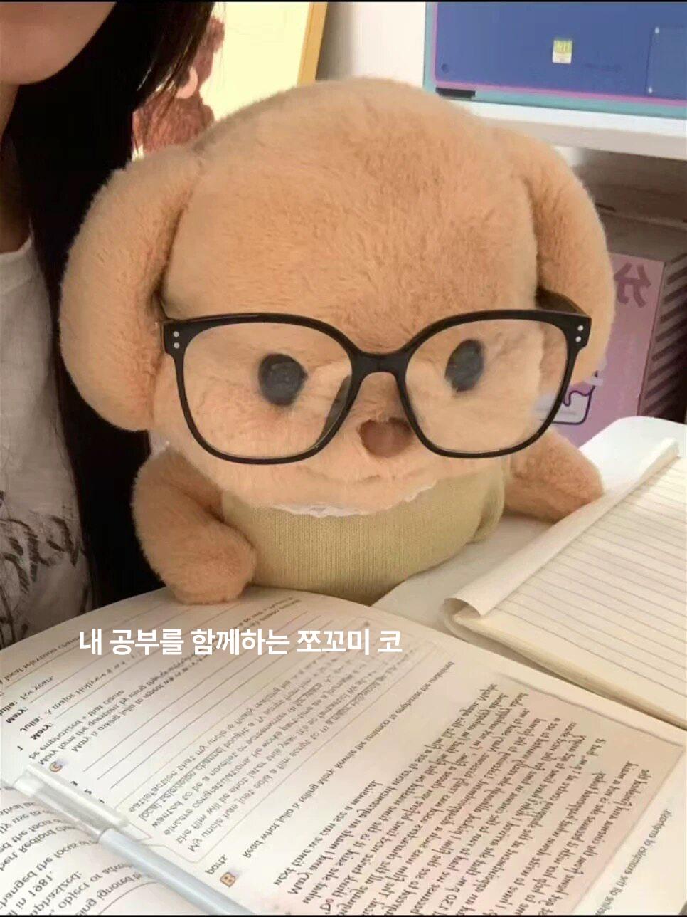 볼살통통 강아지 인형 대형 플러시 푸들 멍멍이 실바니안 세벨 푸들 [옷 포함] 25cm - 상세 이미지 5