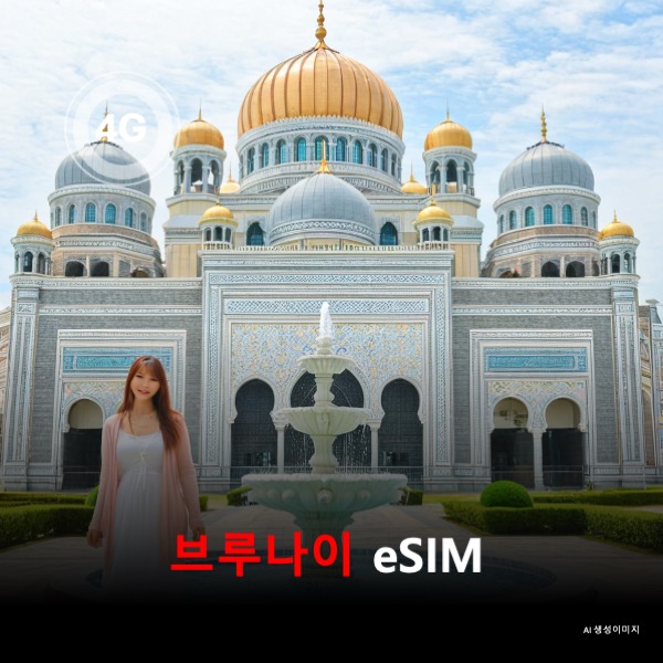 브루나이 이심 eSIM 데이터 전용 매일 무제한 이심통 - 상품 이미지