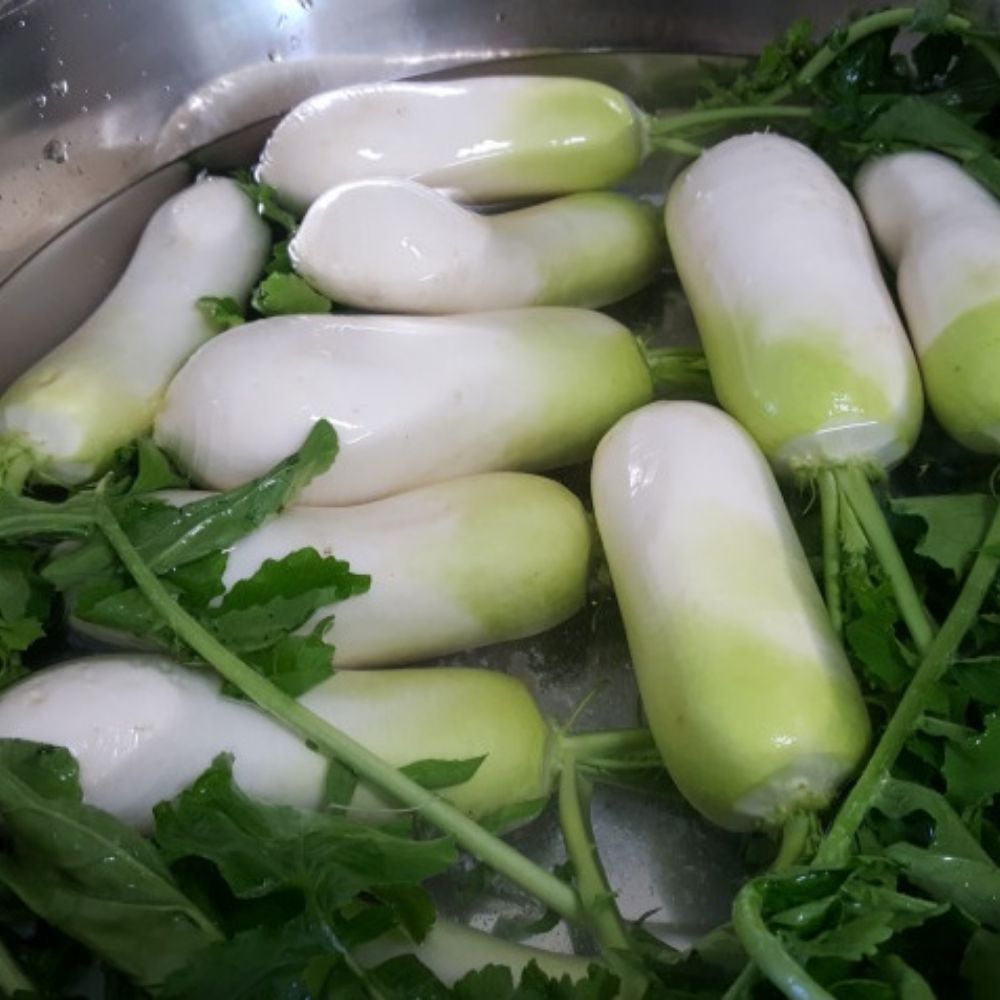 국내산 깔끔한국물 겨울 동치미 3kg - 상세 이미지 5