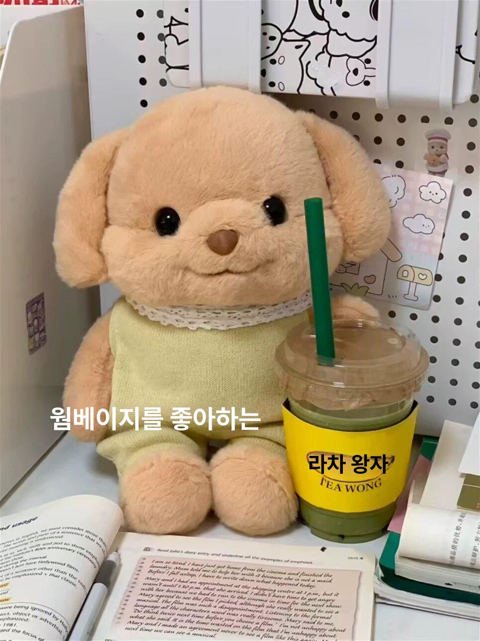 볼살통통 강아지 인형 대형 플러시 푸들 멍멍이 실바니안 세벨 푸들 [옷 포함] 25cm - 상세 이미지 3
