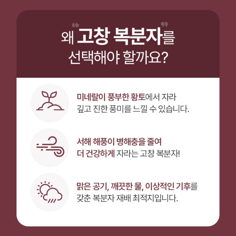 고창 복분자 분말 150G 2통 고농축 발효농축분말 가루 효능 식약처HACCP 이미지 3