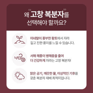 고창 복분자 분말 150G 2통 고농축 발효농축분말 가루 효능 식약처HA... 맛있게 먹은 솔직 후기 - 상품 이미지 3
