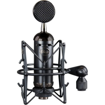 Blue Microphones [해외]Blue Microphones 블루 마이크 블랙아웃 스파크 SL XLR 콘덴서 녹음 스트