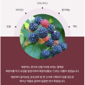고창 복분자 분말 150G 2통 고농축 발효농축분말 가루 효능 식약처HA... 맛있게 먹은 솔직 후기 - 상품 이미지 4