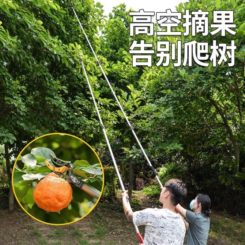 높은곳 전지가위 전지 연장 충전식 높은 가지치기 조경 원예 가위 장대 꽃 1.8-3미터(톱날+접톱+정원가위+절단헤 - 상세 이미지 4