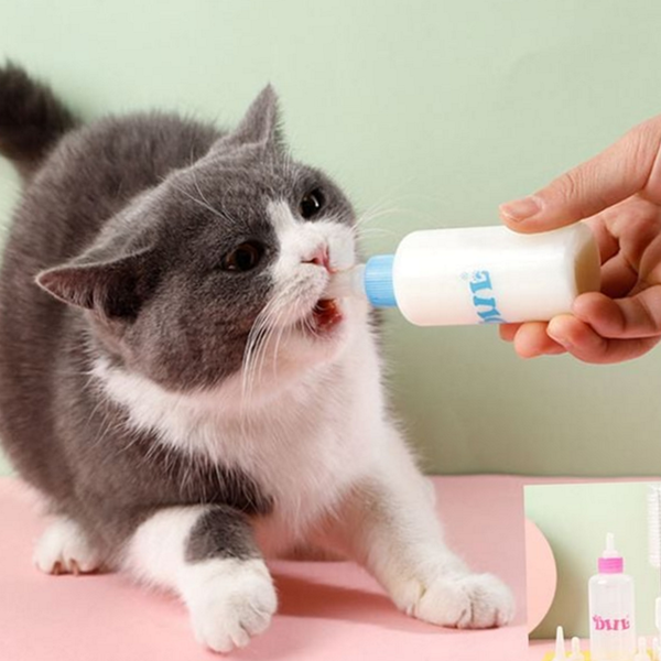 반려동물 애완 동물 젖병 고양이 강아지 젖병 우유병 급수기 - 상품 이미지