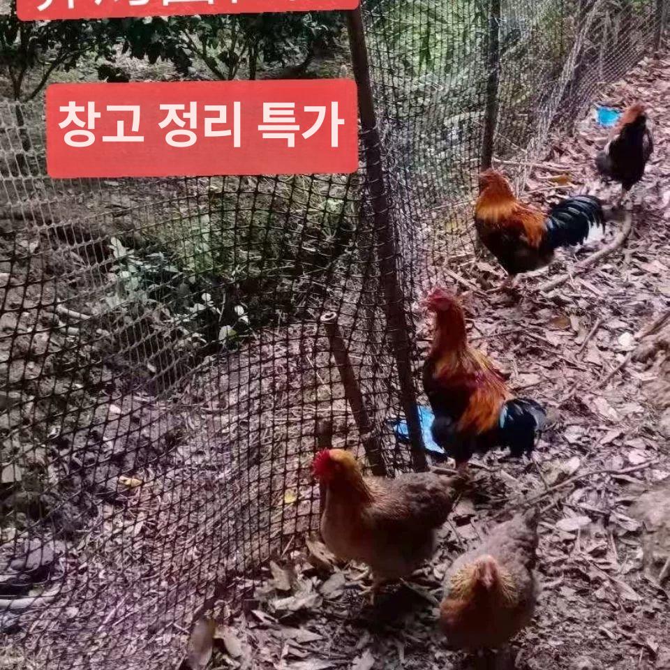 플라스틱 메쉬망 울타리 펜스 그물망 50m 휀스 1m 안전망 닭장 고급형 내구성 강화 튼튼한 - 상세 이미지 4
