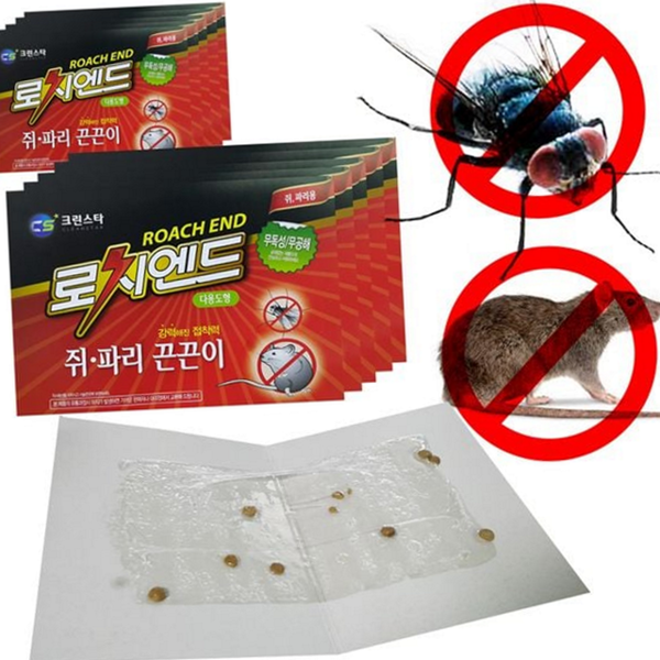 다용도 쥐 파리 끈끈이 업소용 쥐 잡이 끈끈이 쥐덫 해충 - 상품 이미지