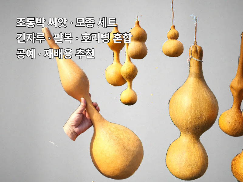 국산 조롱박 표주박 씨앗 모종 모듬세트 다양한 품종 랜덤