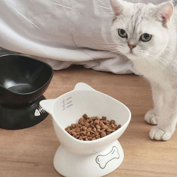 도자기 고양이 밥그릇 경사 강아지 밥그릇 물그릇 식기 높은 - 상품 이미지