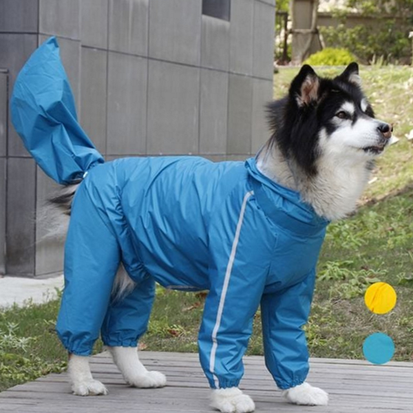 올인원 대형견 우비 후드 대형견 레인코트 바람막이 반려동물 산책 - 상품 이미지