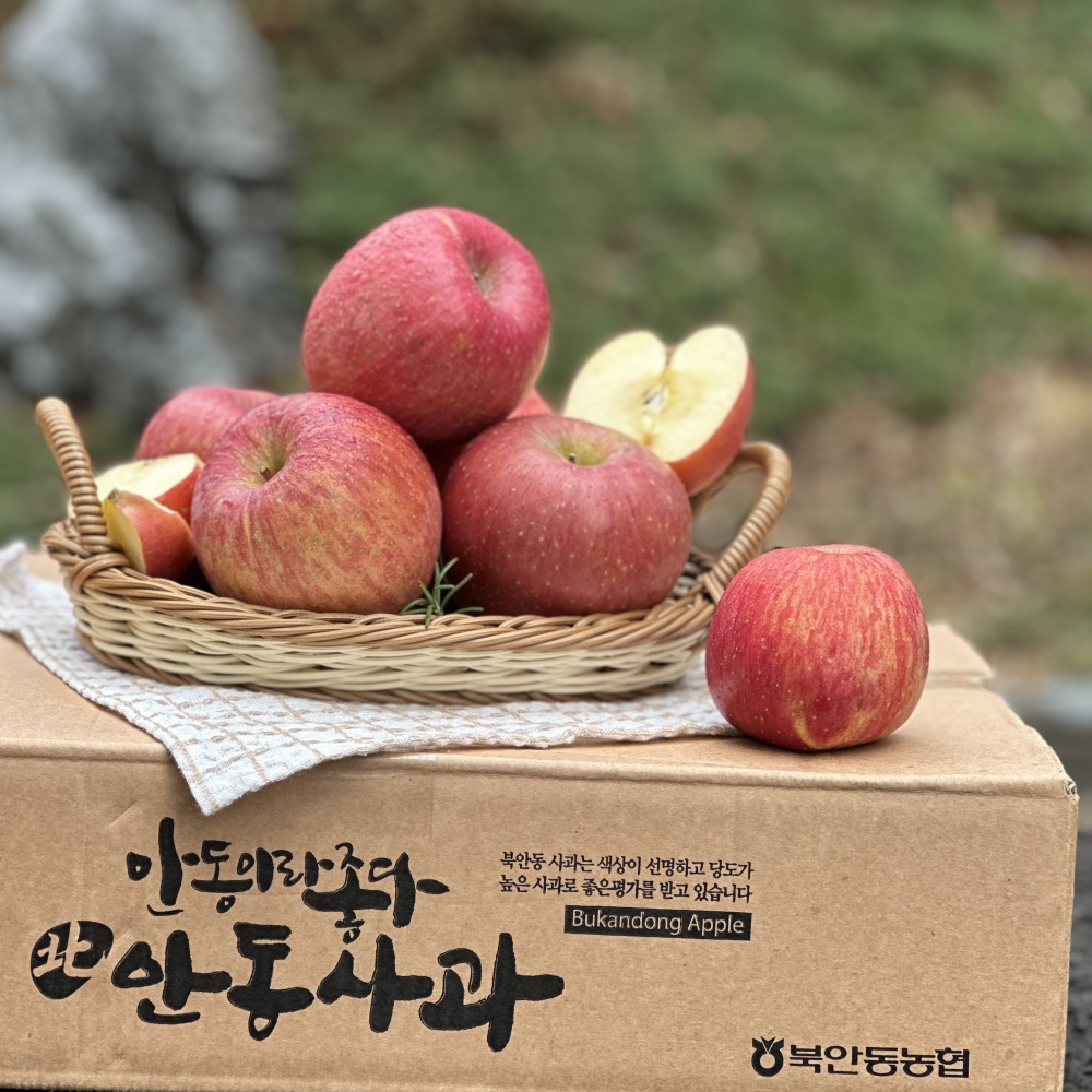 북안동농협 부사사과 최상품위 특품 품질보장 비파괴당도선별 3kg~3.5kg - 상품 이미지