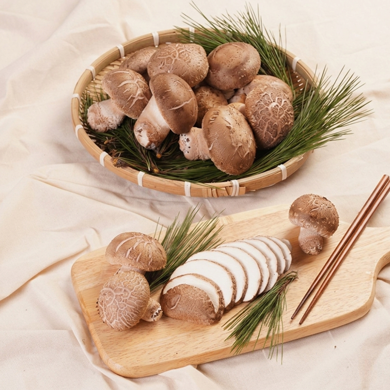 산지직송 국내산 송화고 송화 버섯 송이 미송화 백송화 500g - 상세 이미지 4