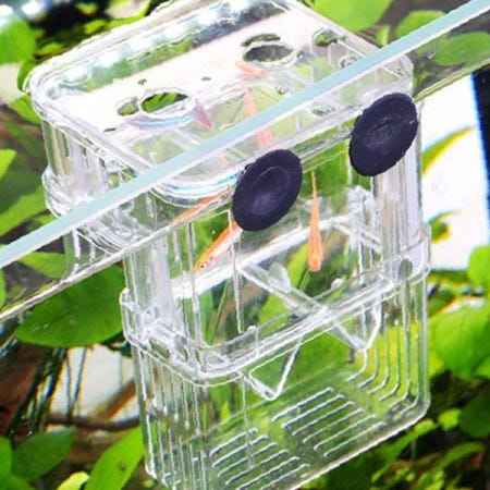 수족관 치어 보호 격리 사육 상자 투명 아크릴 부화 케이스 새끼 물고기 분리