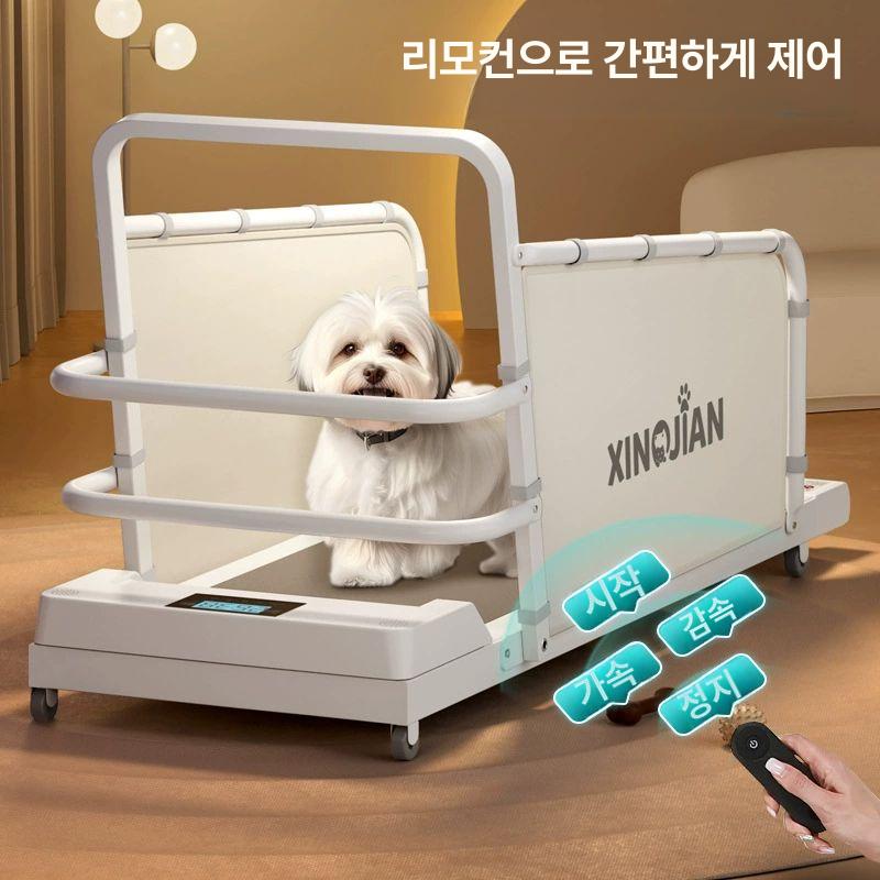 강아지 런닝머신 소형견 트레드밀 러닝머신 중형견 다이어트 산책 훈련소 애완견 애완동물 - 상세 이미지 2
